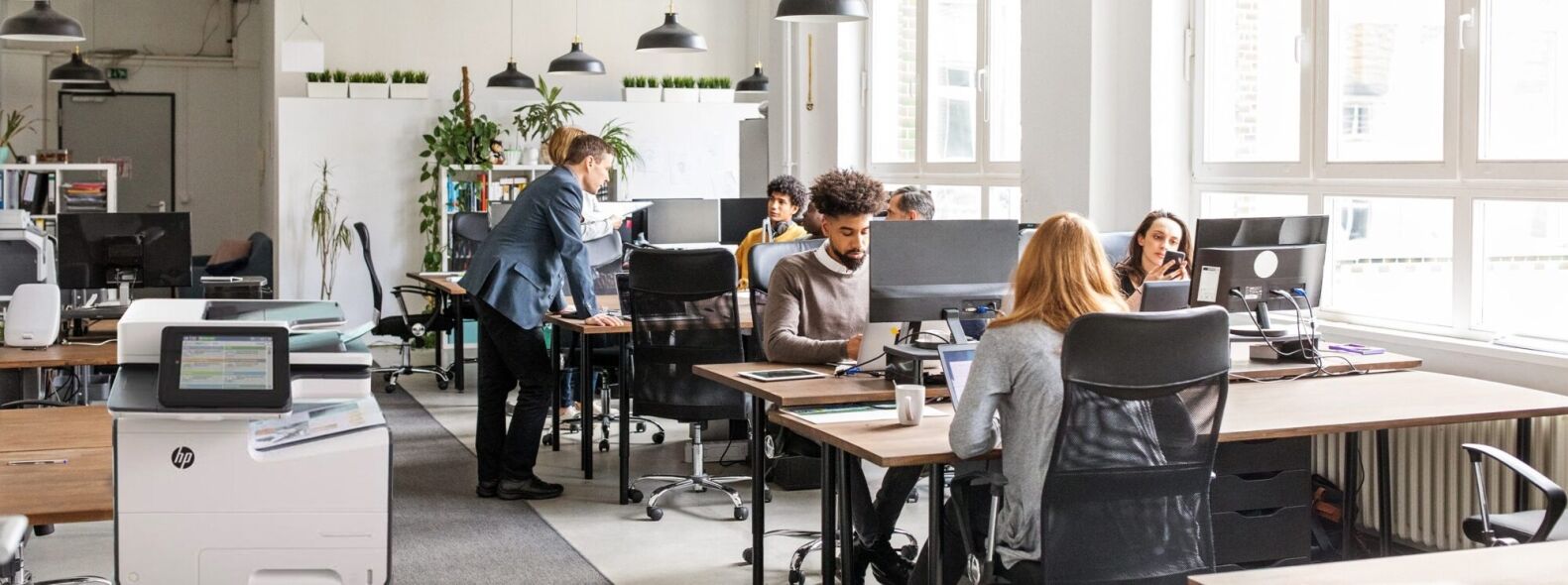 A diverse group of professionals works in a modern, open-plan office with natural light and abundant greenery.