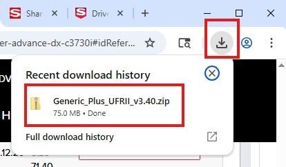 A screenshot shows a Chrome browser window with the downloads panel open, displaying a recently downloaded file named