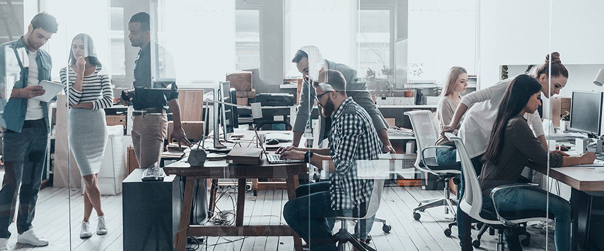 A group of diverse colleagues collaborate and work on projects in a modern, open-plan office environment.